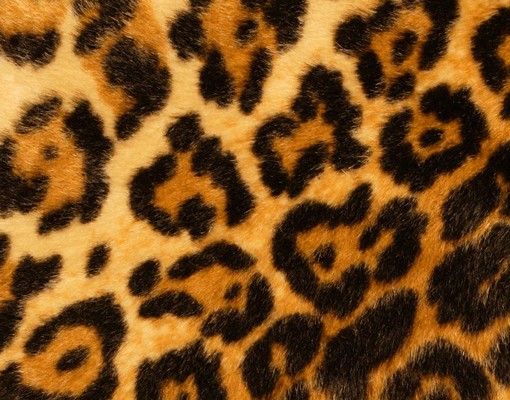 Tierbriefkasten Jaguar Skin