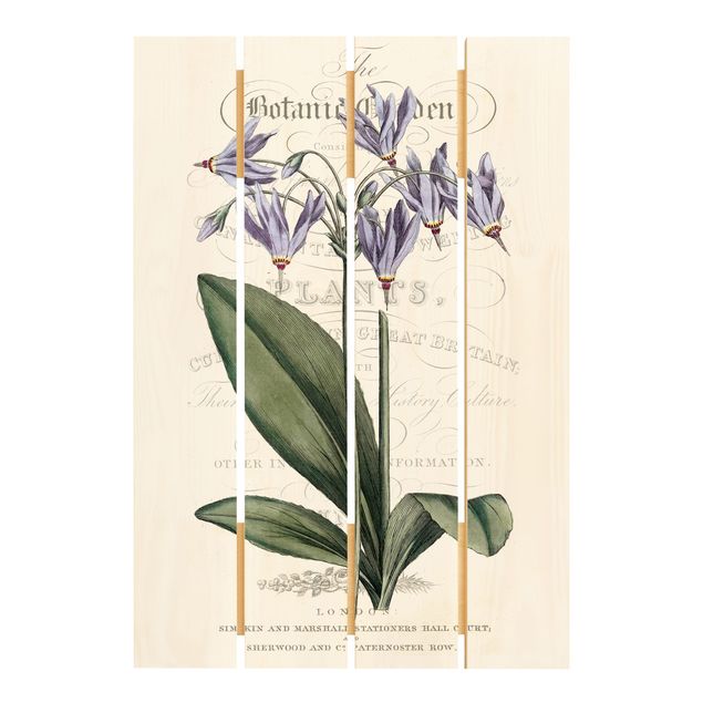 Deko Blume Botanisches Tableau - Götterblume