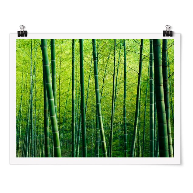 Wanddeko Esszimmer Bambuswald