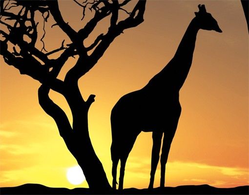 Briefkasten Natur African Sunset
