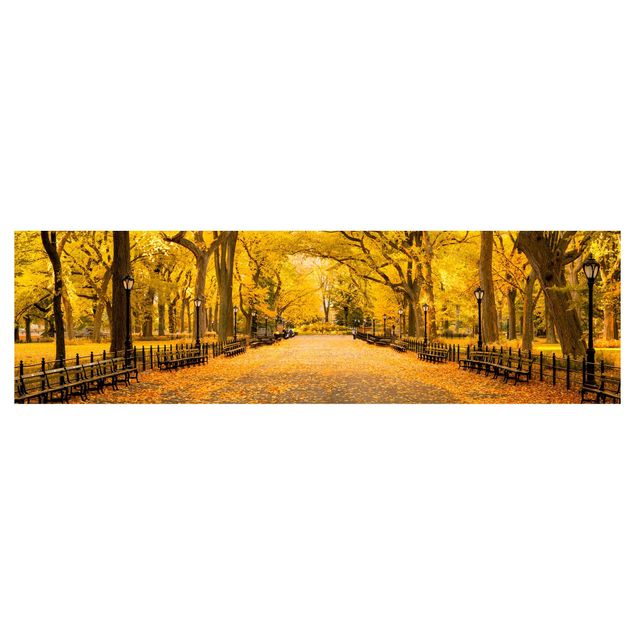 Küchenrückwand Folie selbstklebend Skyline Herbst im Central Park