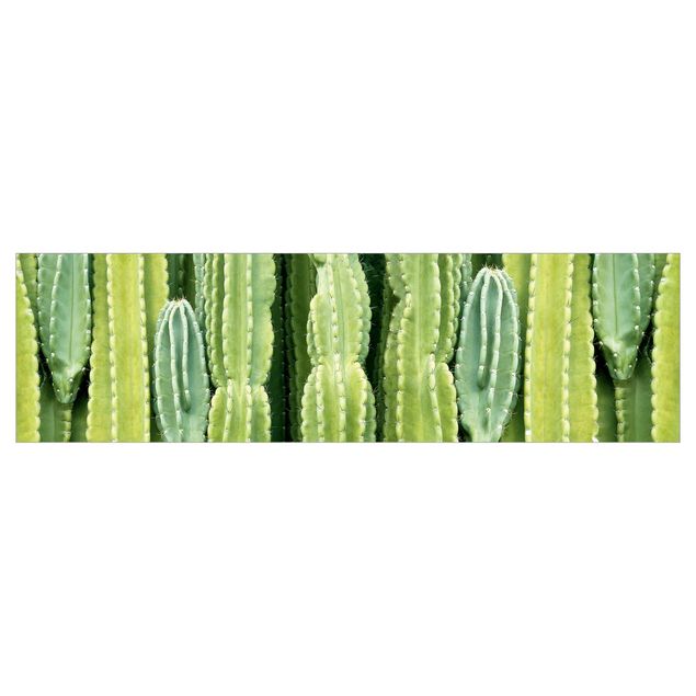 Küchenrückwand selbstklebend Kaktus Wand