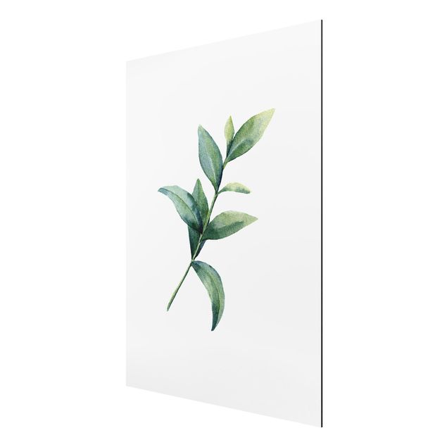 Wanddeko Esszimmer Aquarell Eucalyptus II