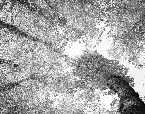 Briefkasten schwarz-weiß Bäume des Lebens II