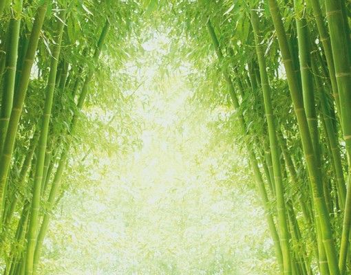 Postkasten grün Bamboo Way