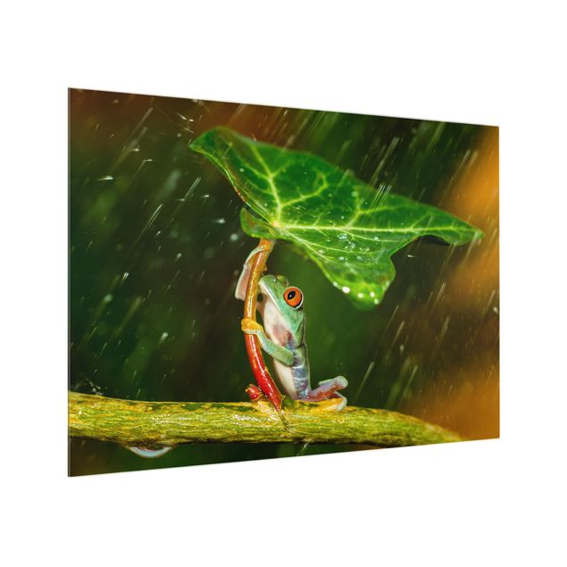 Wanddeko grün Ein Frosch im Regen