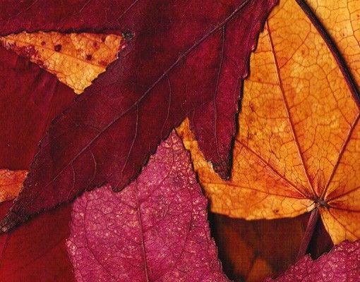 Briefkasten Natur Coloured Leaves