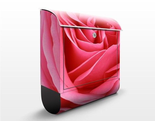 Wanddeko Blume Lustful Pink Rose