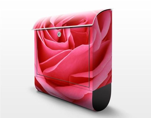 Wanddeko pink Lustful Pink Rose