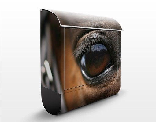 Wanddeko braun Horse Eye