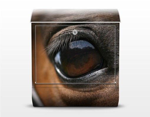 Wanddeko Büro Horse Eye
