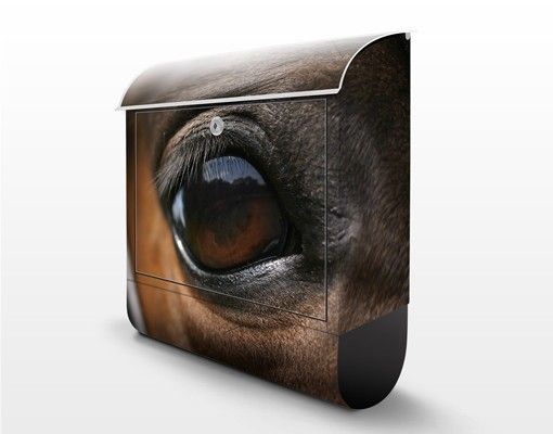 Wanddeko Tiere Horse Eye