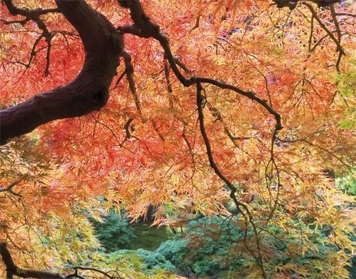 Briefkasten Natur Japanischer Garten