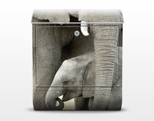 Wanddeko Büro Elefantenliebe