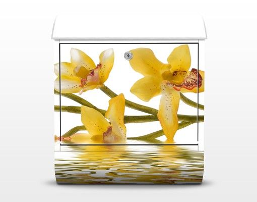 Wanddeko Büro Saffron Orchid Waters