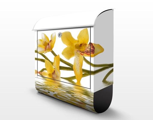 Blumen Briefkasten Saffron Orchid Waters