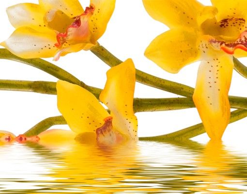 Postkasten gelb Saffron Orchid Waters