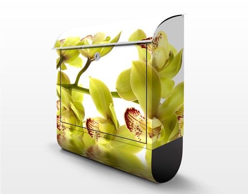 Blumen Briefkasten Splendid Orchid Waters