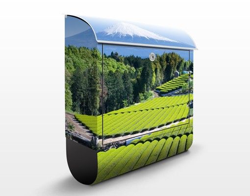 Wanddeko grün Teefelder vor dem Fuji