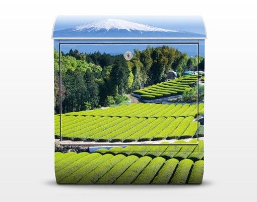 Wanddeko Büro Teefelder vor dem Fuji