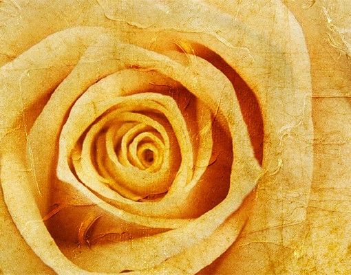 Briefkasten Blumen Vintage Rose