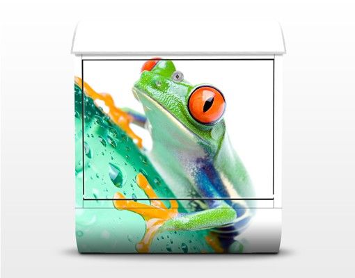 Wanddeko Tiere Frog