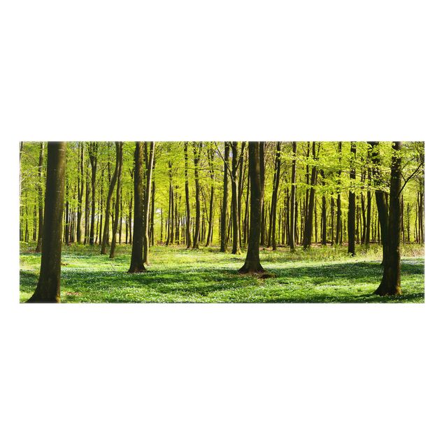 Deko Bäume Waldwiese