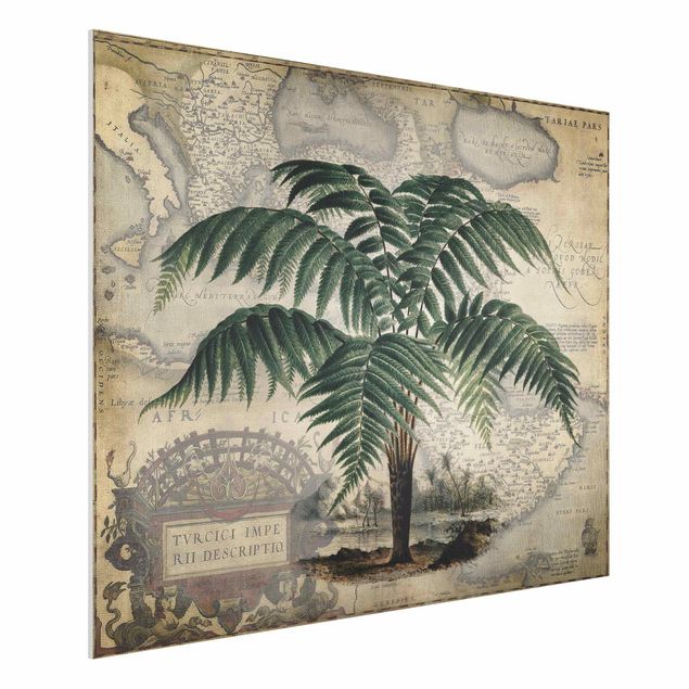 Wanddeko Schlafzimmer Vintage Collage - Palme und Weltkarte