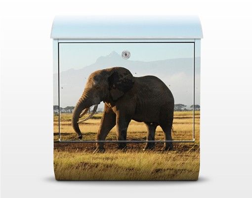 Briefkasten Natur Elefanten vor dem Kilimanjaro in Kenya