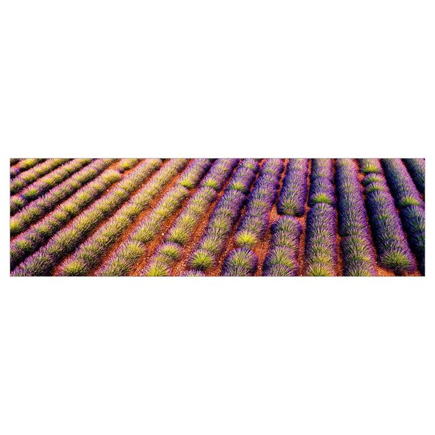 Wanddeko violett Malerisches Lavendelfeld