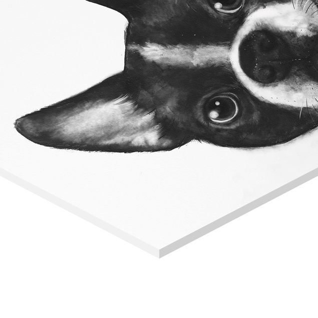 Wanddeko über Sofa Illustration Hund Boston Schwarz Weiß Malerei
