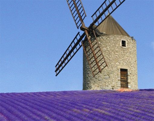 Briefkasten Natur Lavendelduft in der Provence