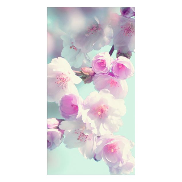 Wanddeko Fotografie Farbenfrohe Kirschblüten