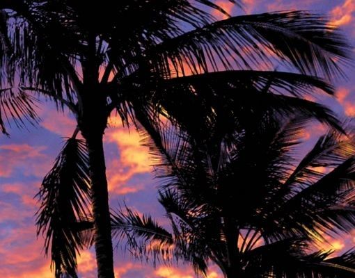 Briefkasten Natur Palms