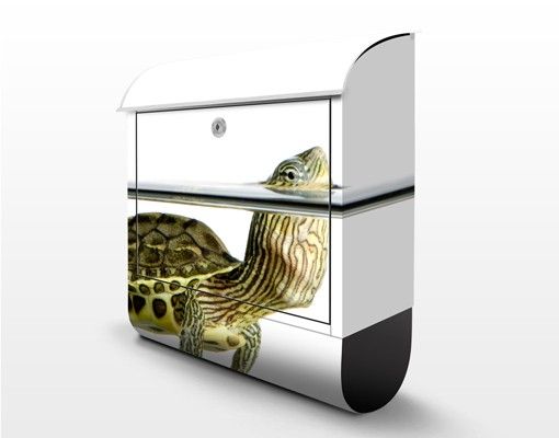Briefkasten Tier Schildkröte