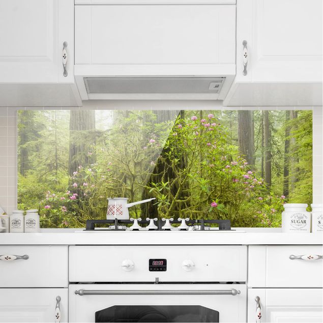 Küche Dekoration Del Norte Coast Redwoods State Park Kalifornien