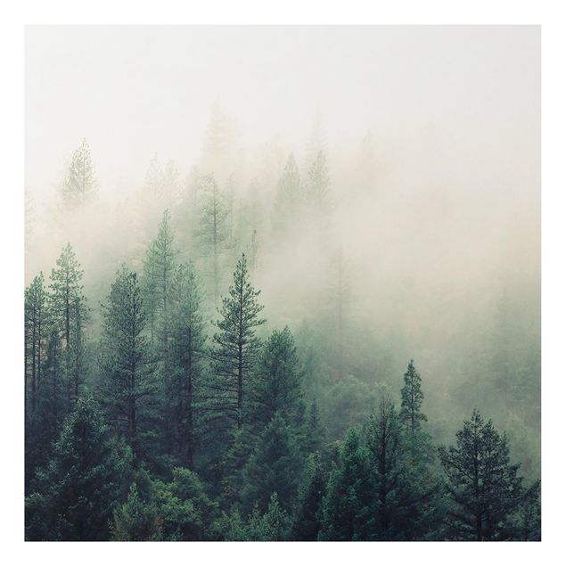 Wanddeko Flur Wald im Nebel Erwachen