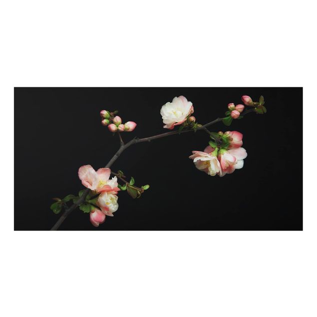 Wohndeko Fotografie Blütenzweig Apfelbaum