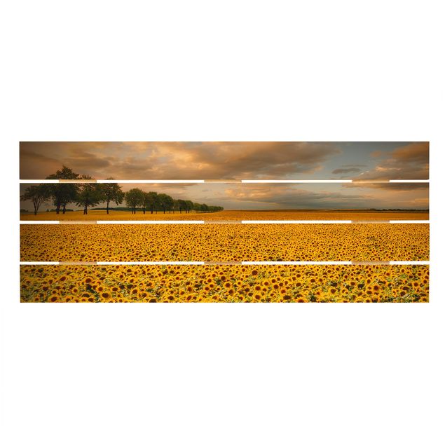 Wanddeko Flur Feld mit Sonnenblumen