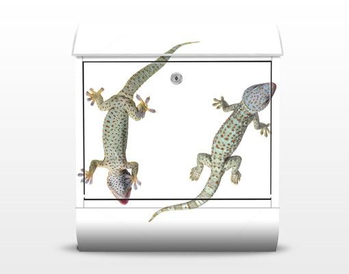 Wanddeko Tiere No.250 Neugierige Geckos
