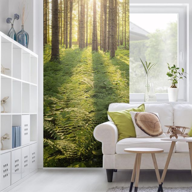 Wanddeko Esszimmer Sonnenstrahlen in grünem Wald