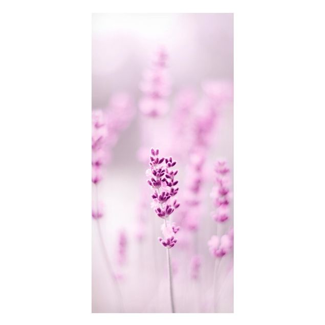 Wohndeko Gräser Zartvioletter Lavendel