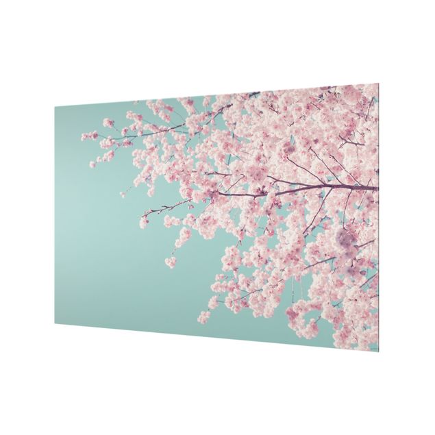 Deko Fotografie Japanische Kirschblüte