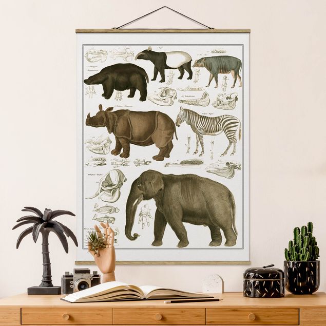 Deko Afrika Vintage Lehrtafel Elefant, Zebra und Nashorn