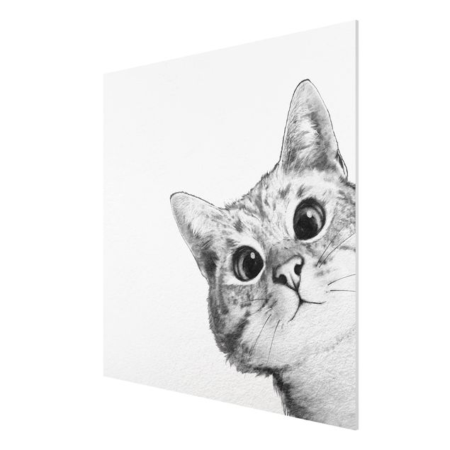 Wanddeko Flur Illustration Katze Zeichnung Schwarz Weiß