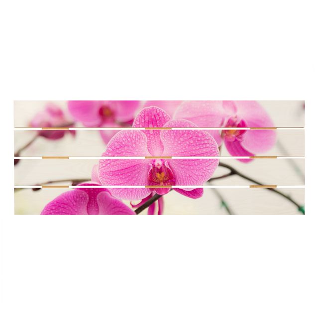 Wanddeko Flur Nahaufnahme Orchidee