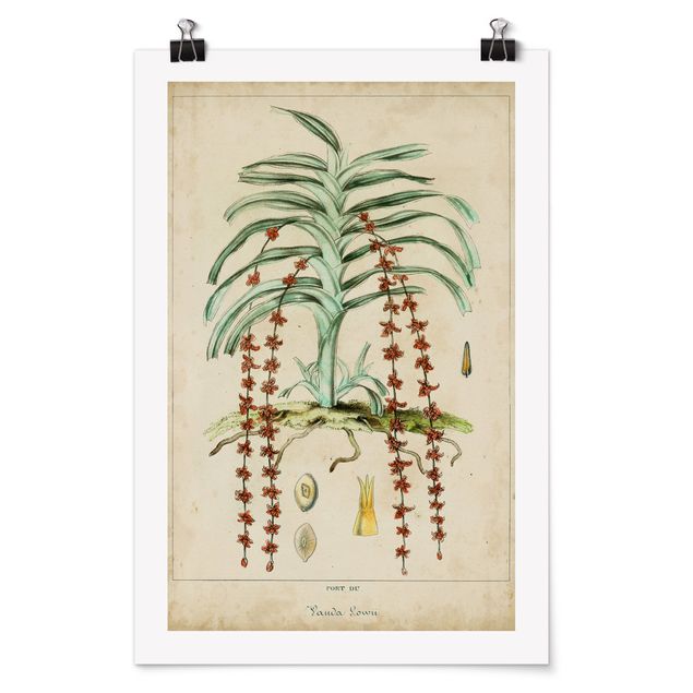 Wanddeko Esszimmer Vintage Lehrtafel Exotische Palmen IV