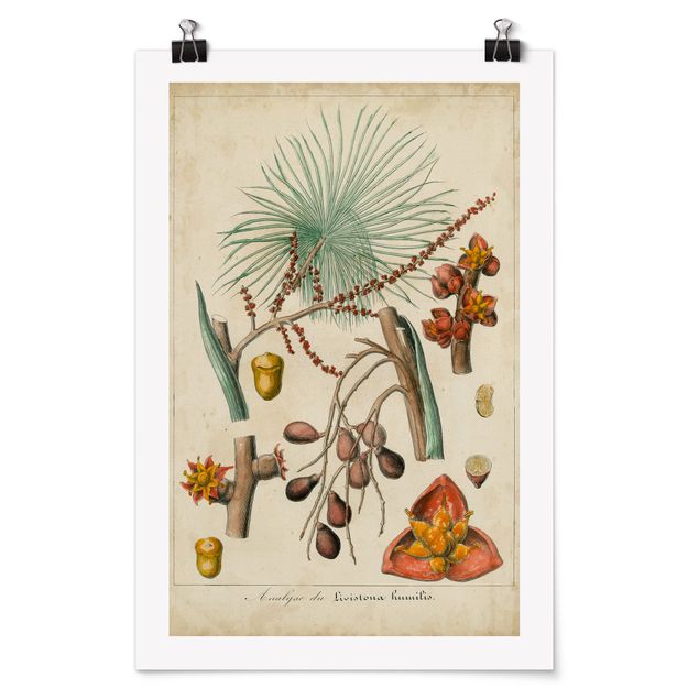 Wanddeko Esszimmer Vintage Lehrtafel Exotische Palmen III