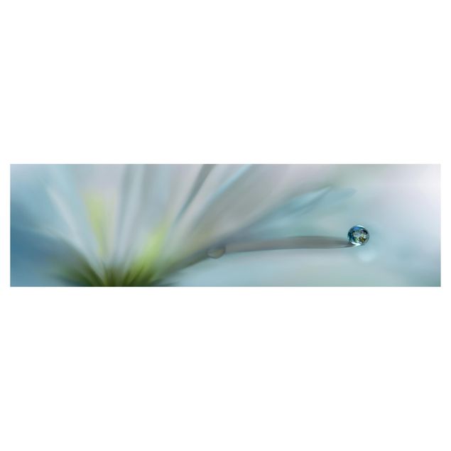 selbstklebende Klebefolie Tautropfen auf weißer Blüte