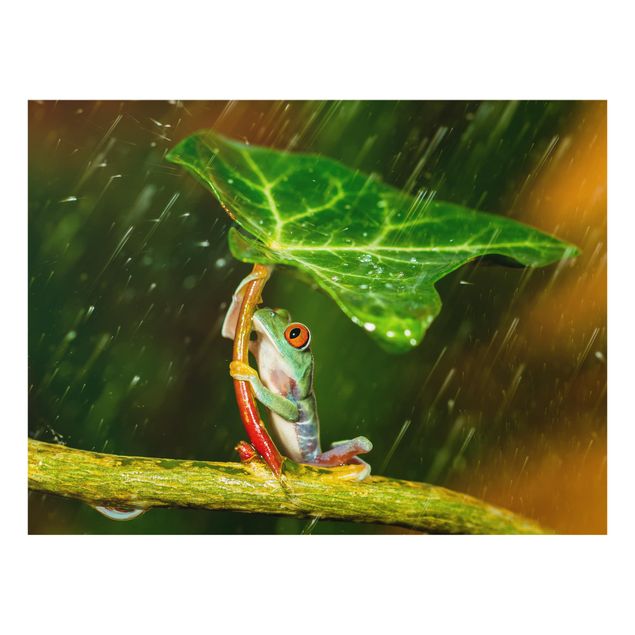 Wohndeko Pflanzen Ein Frosch im Regen